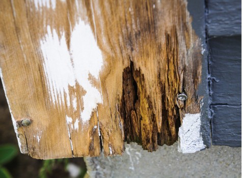 Image of a rotting beam on a CT wooden deck.